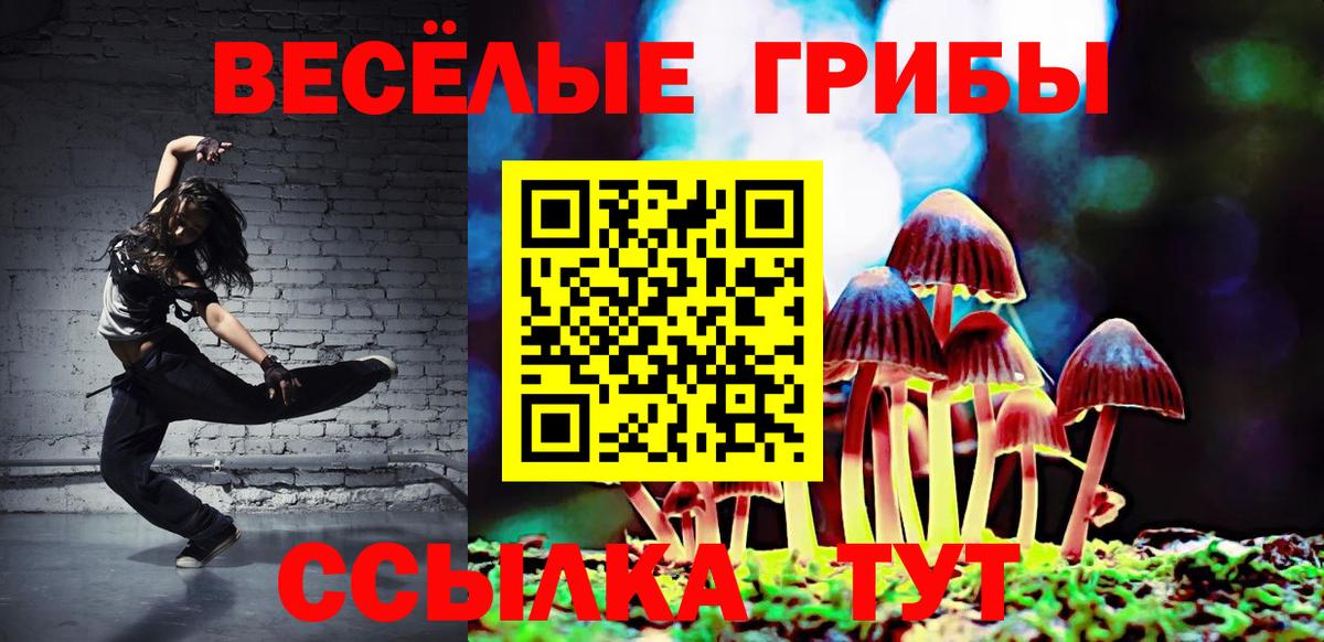 Галлюциногенные грибы мицелий Видное