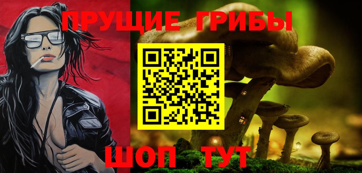 Псилоцибиновые грибы GOLDEN TEACHER  Вход с VPN  Видное 
